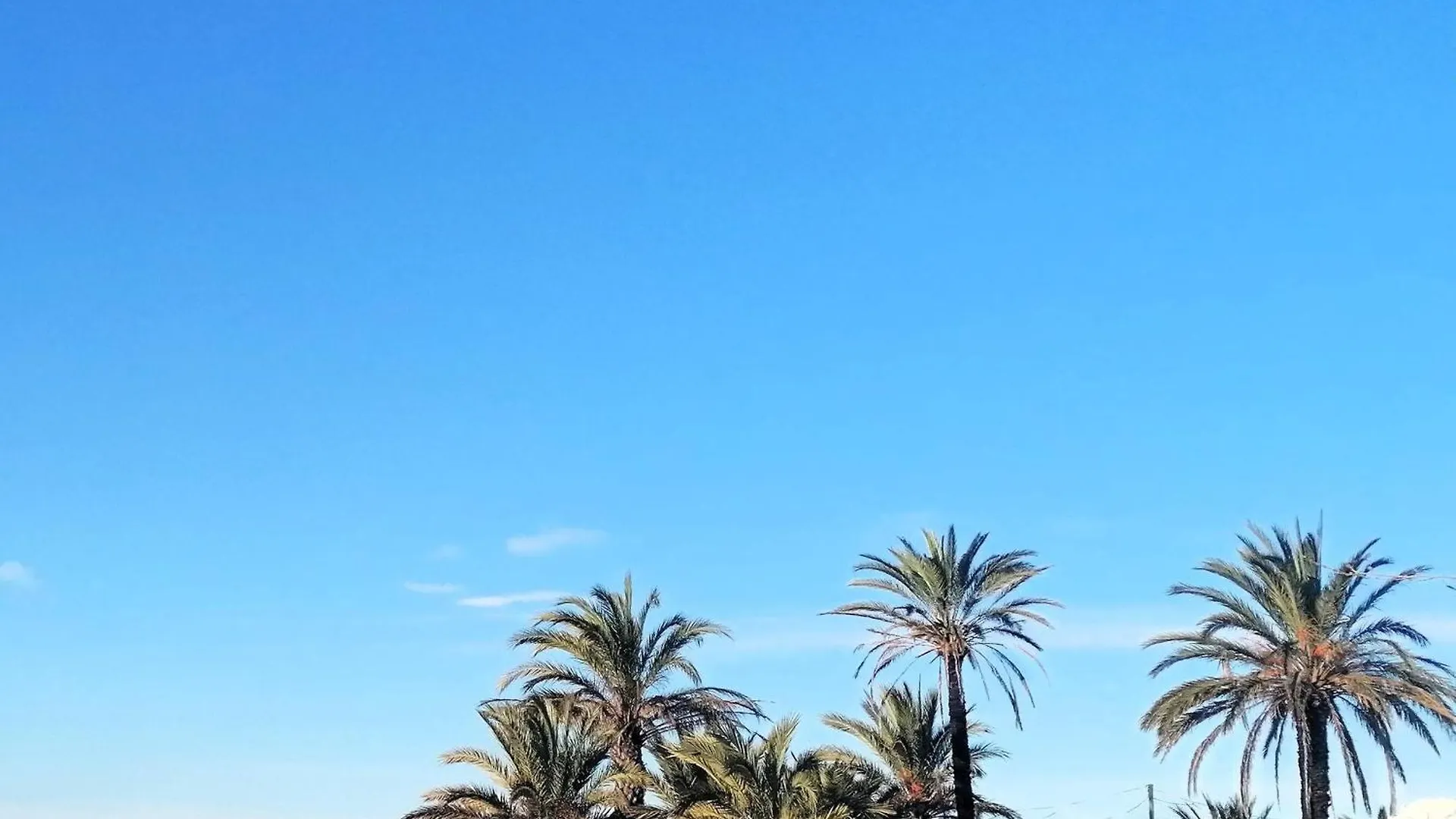 Apartment 3277 Platja 6 112 , En 1ª Linea De Playa, La Mas Espaciosa De Roses. Disfrutara Del Olor Del Mar, De La Arena Bajo Sus Pies, Del Aire. . . - Es-258-17